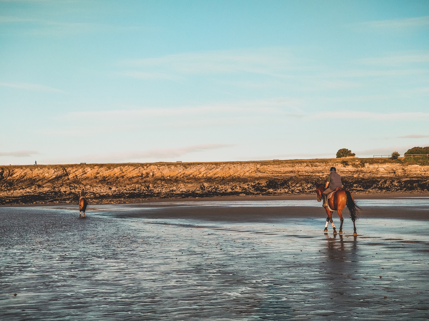 Two horses galloping along the sand