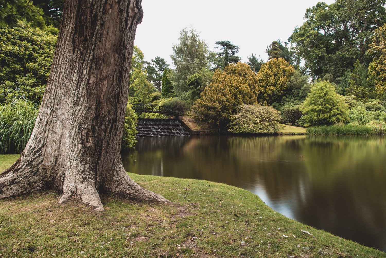 Sheffield Park’s lower lake