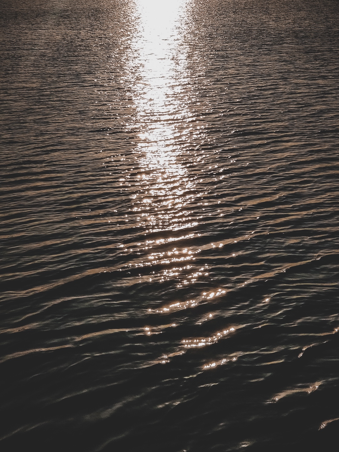 Sun-kissed ripples on the water