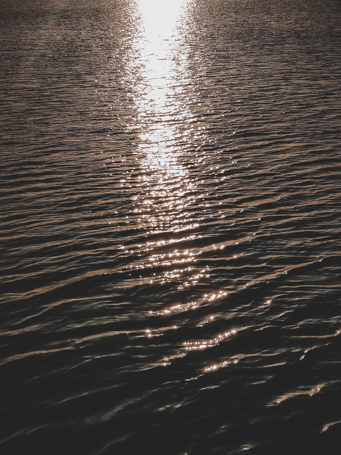 Sun-kissed ripples on the water