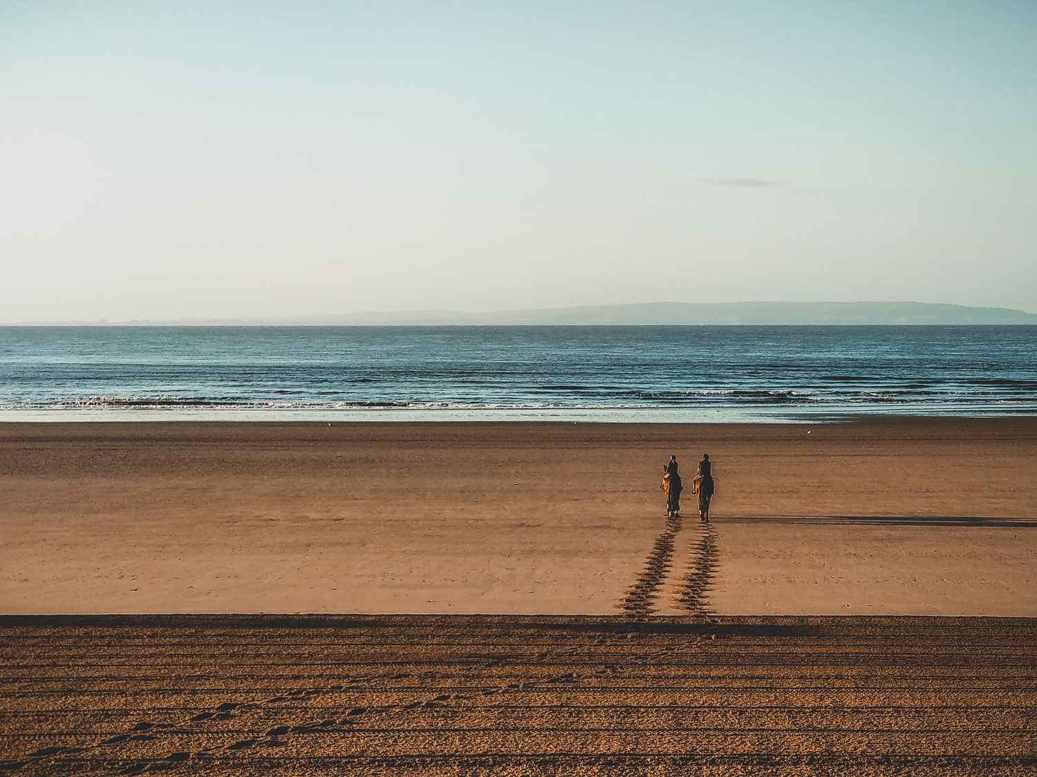 Two horses heading out to the sea