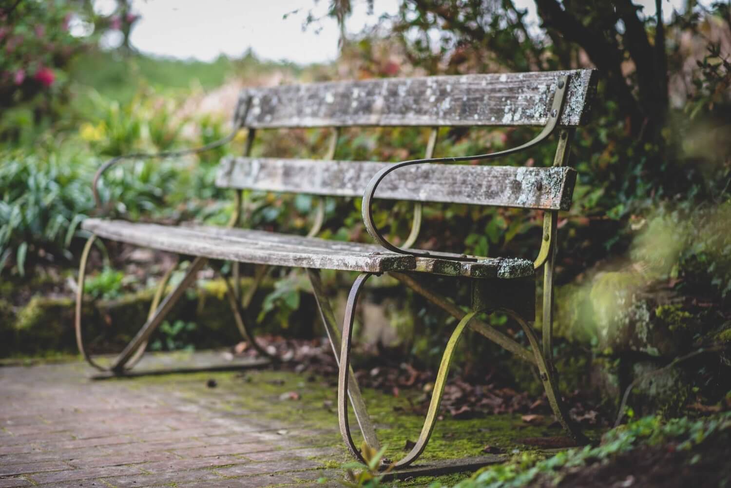 A mossy bench