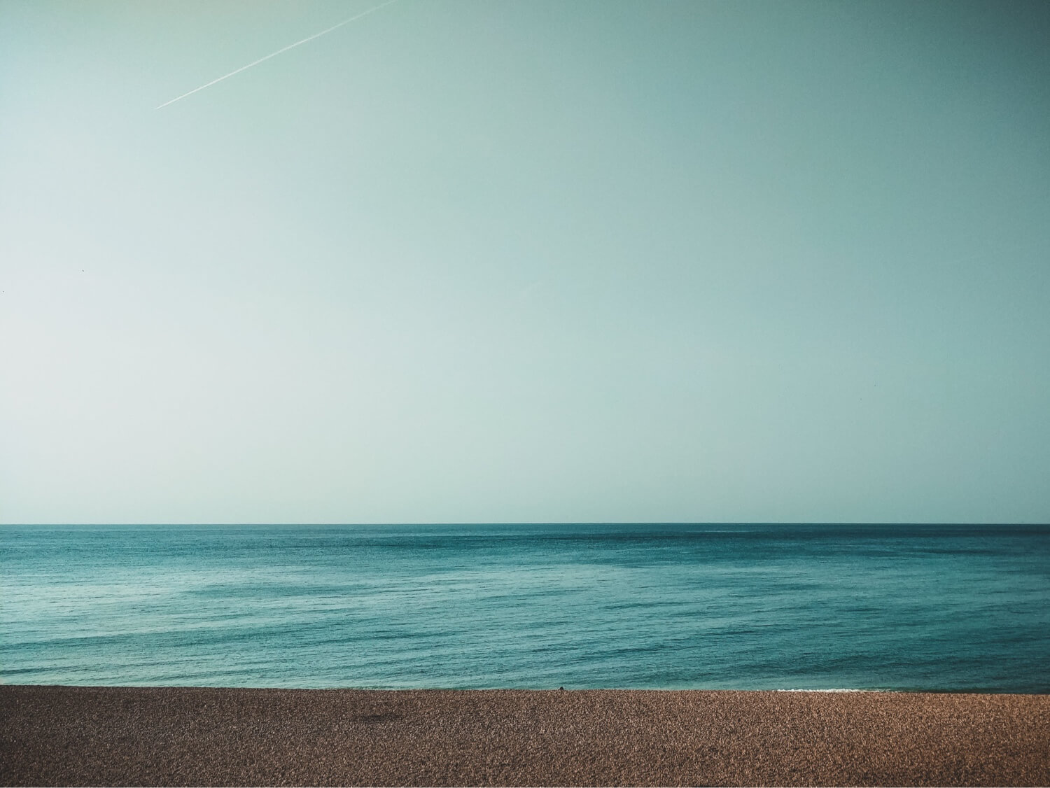 Brighton Seafront